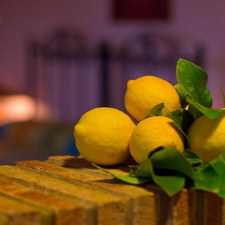 Alle Riserve Vendicari Casa Maccari Εξωτερικό φωτογραφία