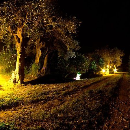 Alle Riserve Vendicari Casa Maccari Εξωτερικό φωτογραφία